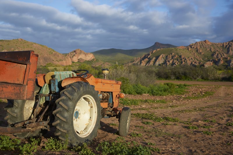 Alter orangefarbener Traktor auf einem Feld, dahinter Hügel unter Wolken