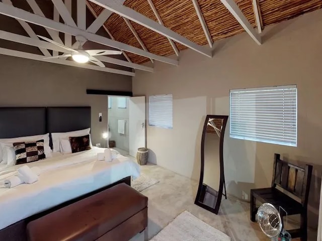 Swartberg Pass Cottages